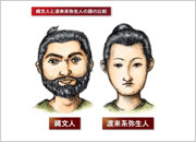 写真：典型的な縄文人と弥生人の顔の比較