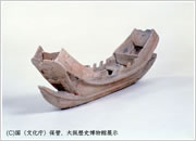 写真：大阪府の長原高廻り2号墳出土の船形埴輪