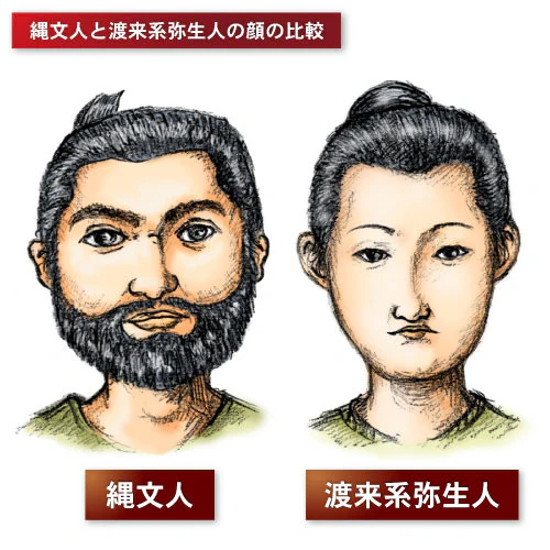 縄文人と渡来系弥生人の顔の比較