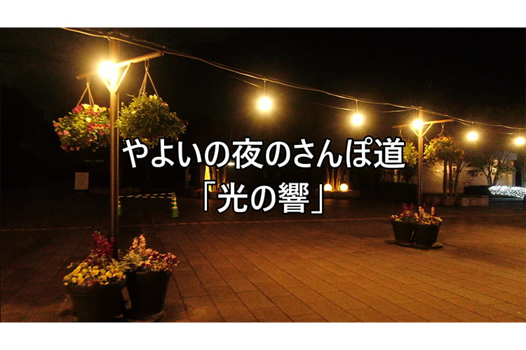 映像のタイトル画面　やよいの夜のさんぽ道「光の響」