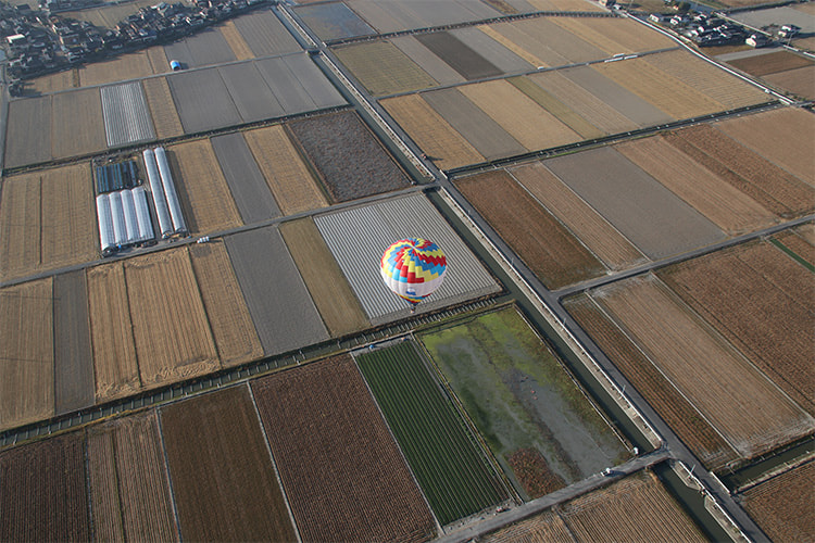マス目のような色とりどりの田畑に飛ぶ熱気球を上から撮った写真