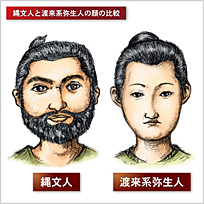 イラスト：典型的な縄文人と弥生人の顔の比較