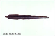 写真：福岡県の須玖岡本遺跡出土の銅剣