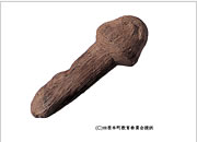 写真：男根形の木製品